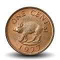 BERMUDES - PIECE de 1 Cent - Petit Sanglier - 1977