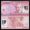 CHILI - Billet de 5000 Pesos - Polymer - Hibou - 2013