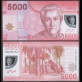 CHILI - Billet de 5000 Pesos - Polymer - Hibou - 2014 – P163e – JeromeCollection