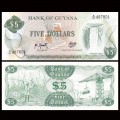 GUYANA - Billet de 5 Dollars - Chutes de Kaieteur - 1989 – P22f2 – JeromeCollection