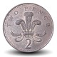 ROYAUME UNI - PIECE de 2 Pence - L'insigne du prince de Galles - 3e effigie - 1988 – Km936 – JeromeCollection