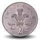 ROYAUME UNI - PIECE de 2 Pence - L'insigne du prince de Galles - 3e effigie - 1996 – Km936a – JeromeCollection