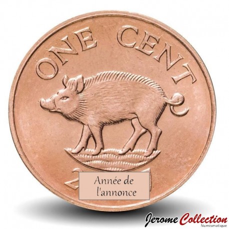 BERMUDES - PIECE de 1 Cent - Petit Sanglier - Elizabeth II - 2008 – Km107 – JeromeCollection