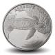 COSTA RICA - PIECE de 50 COLONES - Tortue imbriquée - 2023 – Km246 – JeromeCollection