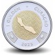 CURACAO - PIECE de 1 Florin des Caraïbes - Roi Willem-Alexander - 2025 – N462590 – JeromeCollection