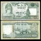 NÉPAL - Billet de 100 Roupies - Rhinocéros - 1999 – P34f – JeromeCollection