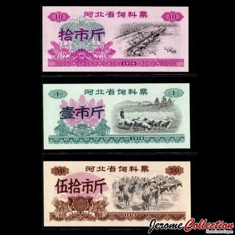 CHINE - Province du Hebei - Set / Lot de 3 Tickets de rationnement / Liangpiao - 1 10 50 Shijin - 1970 – Hebei_1_10_50
