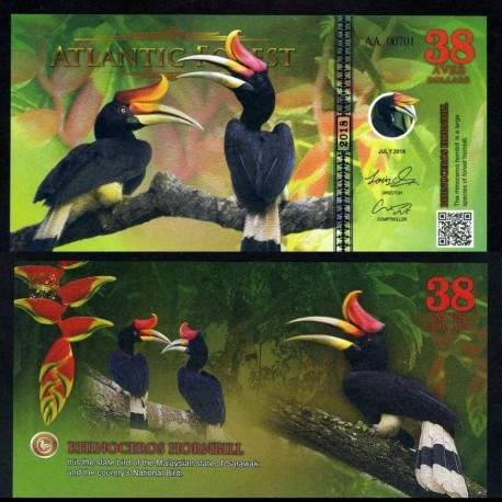 ATLANTIC FOREST - Billet de 38 Aves - Calao rhinocéros - 2018