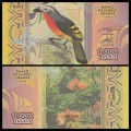ELOBEY GRANDE - Billet de 1000 Ekuele - Série Oiseaux - 2016