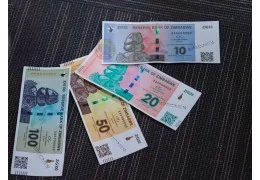 Nouvelle monnaie au Zimbabwe: Le Zimbabwe Gold (ZiG)